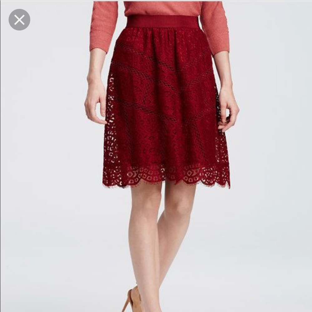Ann Taylor Marsala Lace Skirt